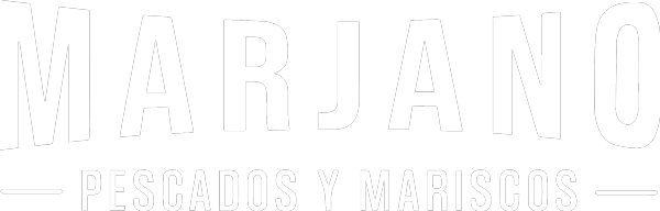 Desarrolladora web wordpress